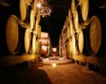 /album/vinhas-e-vinhos/unnamed-jpg/