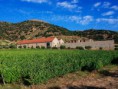/album/vinhas-e-vinhos/wineryscenic69474-jpg/