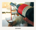 /album/vinhas-e-vinhos/a10686648-898691880150320-5359585547721368151-n-png/